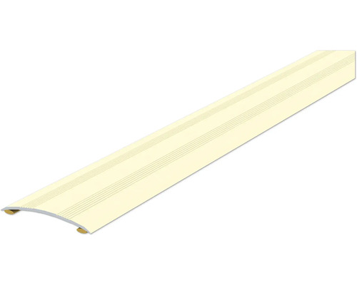 SKANDOR Anpassungsprofil champagner eloxiert selbstklebend 4,5x40x2700 mm