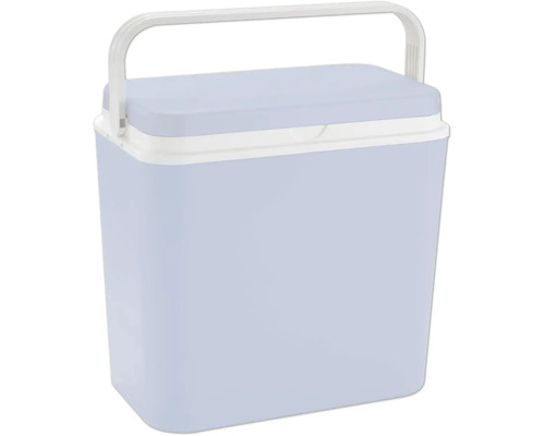 Kühlbox 24 L grau mit zwei Kühlakkus