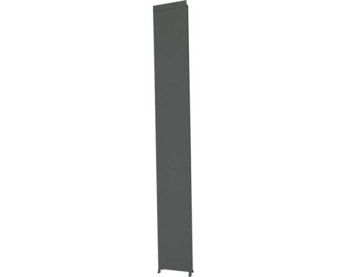 Dekopanel Mirador Classic, Deluxe 31 x 235 cm anthrazit