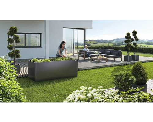 biohort Hochbeet 2x1 201x102x77 cm dunkelgrau-metallic