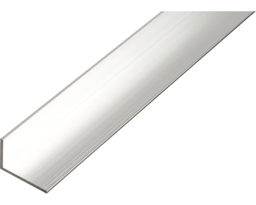 BA-Profil Winkel Alu natur 50x20x2 mm, 1 m