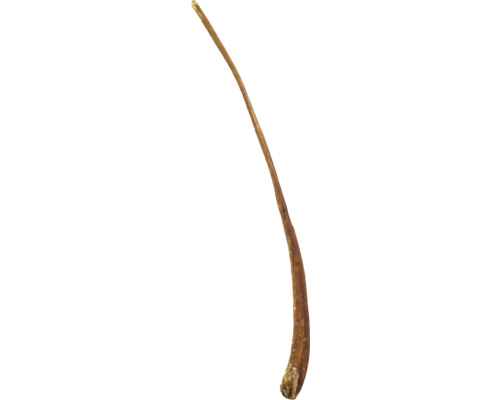 Hundesnack MR. BEEF Ochsenziemer ganz ca. 60 cm ca. 100 g