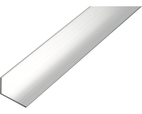 Winkelprofil Alu natur 50x20x2 mm, 2,6 m