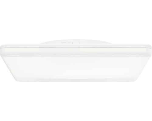 Deckenlampe Bonifica 20 W 2500 lm L. 31 cm