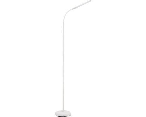 LED Stehleuchte Laroa weiss 1 x 4.5 W
