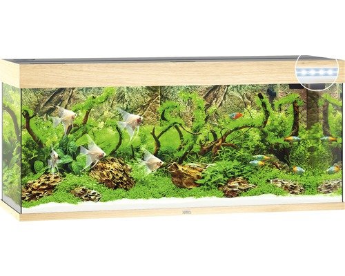 Aquarium Juwel Rio 240 LED ohne Unterschrank helles Holz