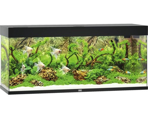 Aquarium Juwel Rio 240 LED ohne Unterschrank schwarz