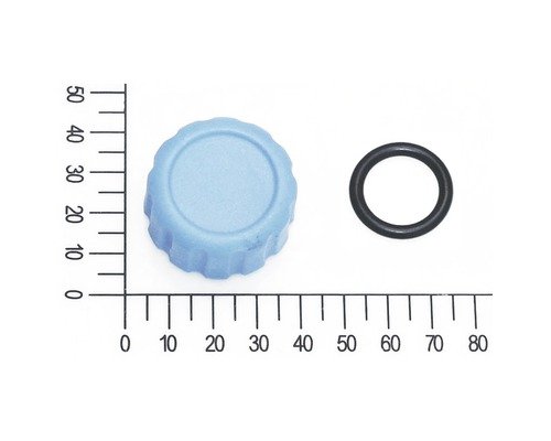 Ablasschraube mit O-Ring für FQ-GP 3.200 Gartenpumpe (5813015)