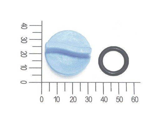 Ablassschraube für Vorfilter mit O Ring für FQ-HW 3.200 Hauswasserwerk (5813003)