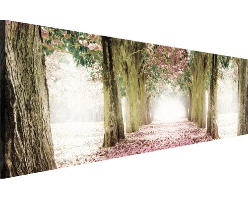Leinwandbild Weg 145x45 cm