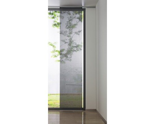 Flächenvorhang basic grau 60x300 cm