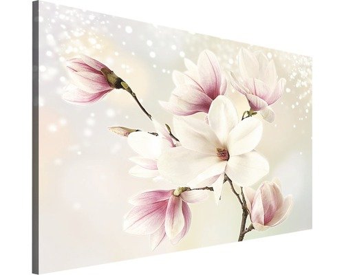 Leinwandbild Blume 100x75 cm