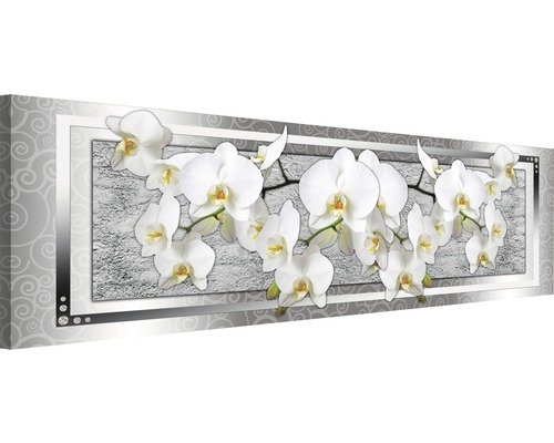 Leinwandbild Orchidee I 145x45 cm