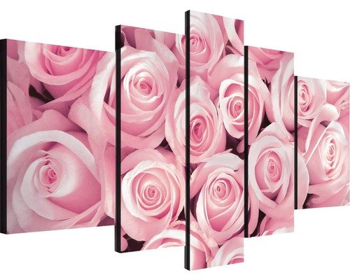 Leinwandbild Rosen 5er-Set 170x100 cm
