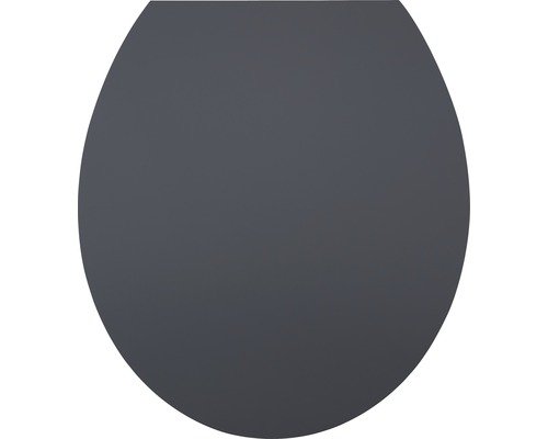 WC-Sitz Diaqua Hollywood gray