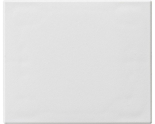 FLF Blindabdeckung Gr. II weiss