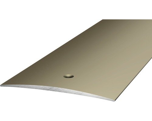 Prinz Übergangsprofil Alu Edelstahl matt gelocht 60 x 2700 mm