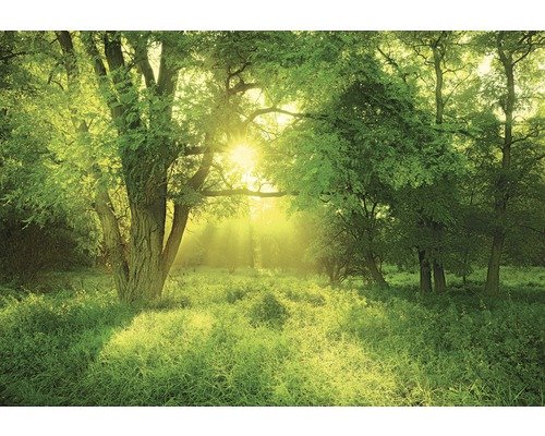 Keilrahmenbild Slumber Light 116x80 cm