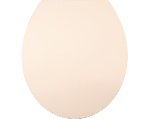 WC-Sitz Diaqua Hollywood powder