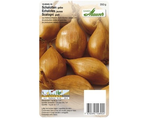 Schalotten Samen Mauser gelb 350g