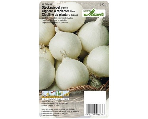 Steckzwiebel Samen Mauser weiss 250 g