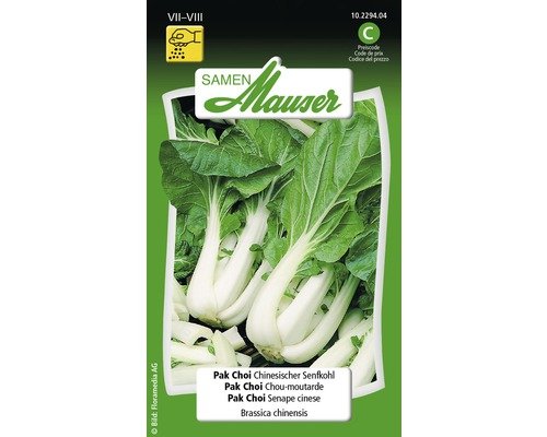 Pak Choi Chinesischer Senfkohl Gemüsesamen Samen Mauser