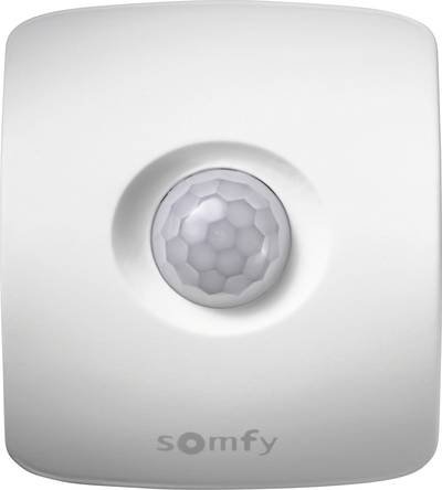 Somfy 2401361 Funk-Alarmanlagen-Erweiterung Funk-Bewegungsmelder