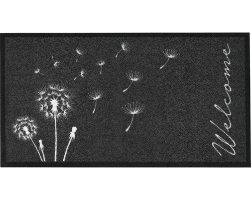 Schmutzfangläufer Création Delion anthrazit 66x120 cm