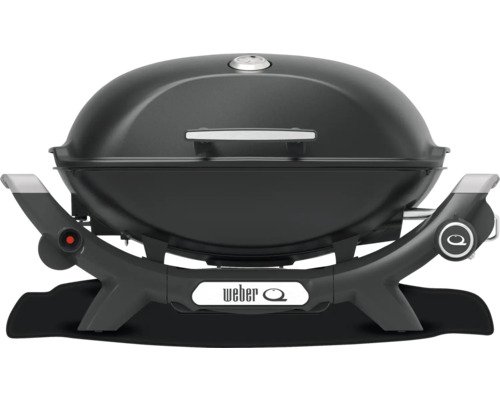 Weber Gasgrill Q2100N