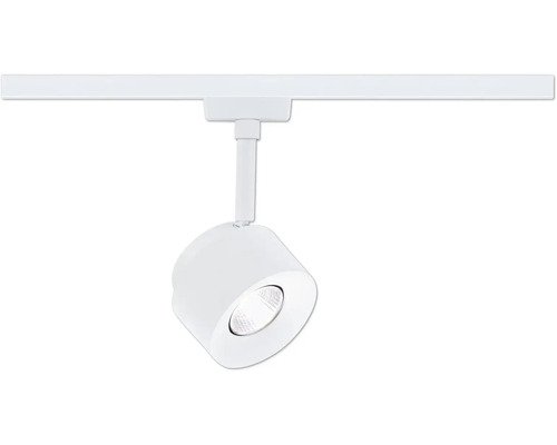 Paulmann URail Spot Pane 7.4W Signalweiss