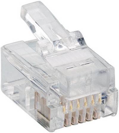 Lumberg P 128 Modularstecker P 128 Stecker, gerade Polzahl Sensoren 6P6C Transparent 1 St.