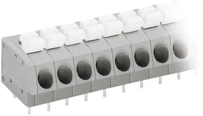 WAGO 804-103 Federkraftklemmblock 2.50 mm² Polzahl 3 Grau, Weiß 1 St.