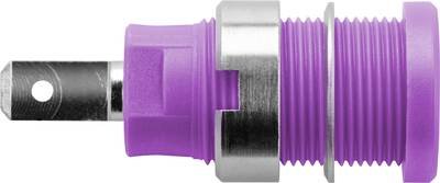 Schützinger DI SEB 6450 Ni / PVI Sicherheits-Einbaubuchse Violett 1 St.