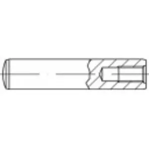 TOOLCRAFT 144921 Zylinderstift (Ø x L) 30 mm x 120 mm M20 Stahl 1 St.