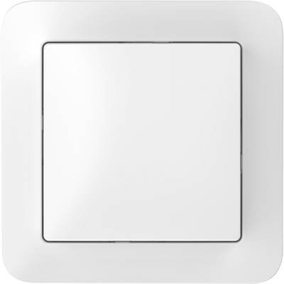 8750002778 Bosch Smart Home Wandschalter