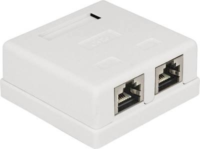 Delock 86269 Netzwerkdose Unterputz Einsatz mit Zentralplatte und Rahmen CAT 6 2 Port Weiß