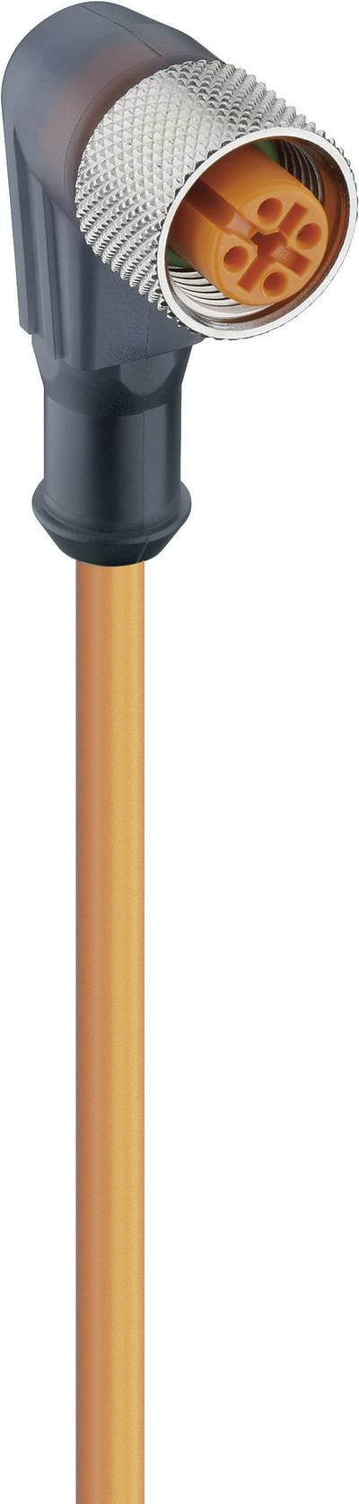 Lumberg Automation 11437-1 Sensor-/Aktor-Steckverbinder, konfektioniert M12 Buchse, gewinkelt 5.00 m Polzahl Sensoren: 4