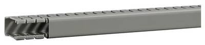 Hager BA63001507030O Verdrahtungskanal (L x B x H) 2 m x 20 mm x 33 mm 2 m Grau