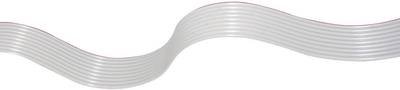 econ connect 28AWG60GR Flachbandkabel Rastermaß: 1.27 mm 60 x 0.08 mm² Grau 30.50 m