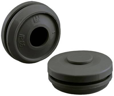 Spelsberg Spelsberg Doppelmembranstutzen M20 geschl. DMS M20/sw