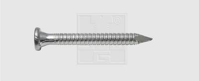 SWG 68511909070 Ankernägel (Ø x L) 4 mm x 60 mm Stahl verzinkt 250 St.