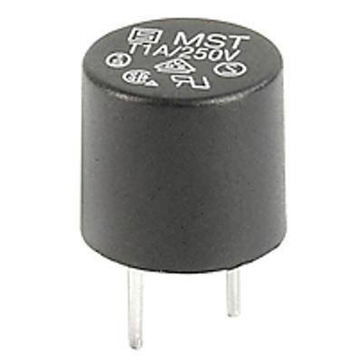 Schurter 0034.6618 0034.6618 Kleinstsicherung 2.00 A 250 V/AC Träge -T- 1 St.