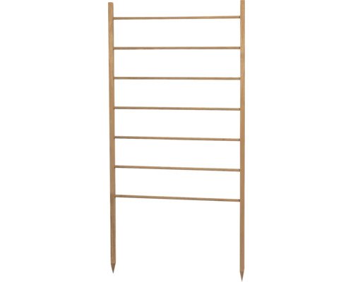 FloraSelf Holz-Rankleiter 60x120 cm