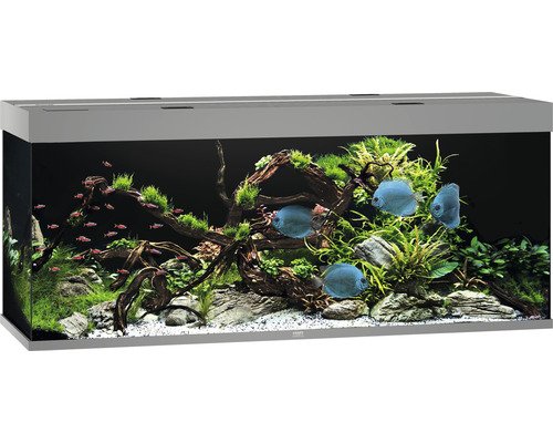 Aquarium JUWEL Rio 450 mit LED-Beleuchtung, Pumpe, Filter, Heizer ohne Unterschrank grau