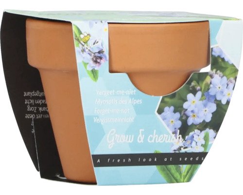 Grow Gifts Vergissmeinnicht