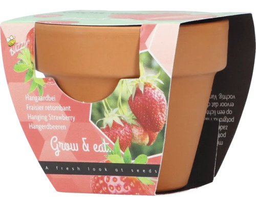 Grow Gifts Erdbeere