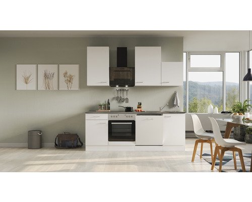 Küchenzeile mit Geräten Flex Well Lucca 220 cm Frontfarbe weiss - Korpusfarbe weiss 00012340