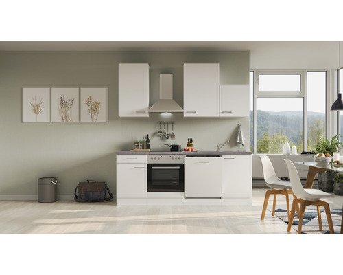Küchenzeile mit Geräten Flex Well Varo 220 cm Frontfarbe weiss - Korpusfarbe weiss 00012013