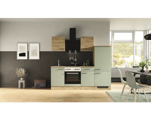 Küchenzeile mit Geräten Flex Well Cara 220 cm Frontfarbe schilfgrün artisan eiche - Korpusfarbe artisan eiche 00012561