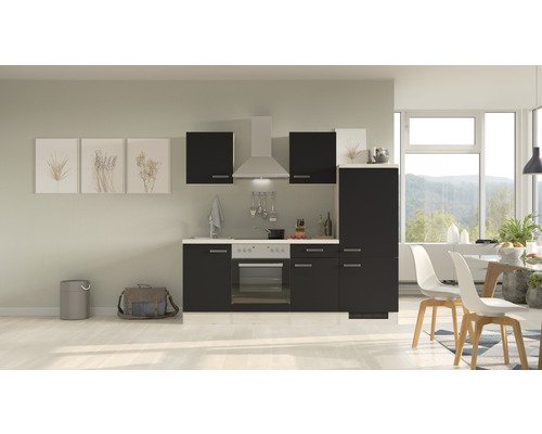 Küchenzeile mit Geräten Flex Well Santo 220 cm Frontfarbe anthrazit - Korpusfarbe san remo eiche hell 00012354